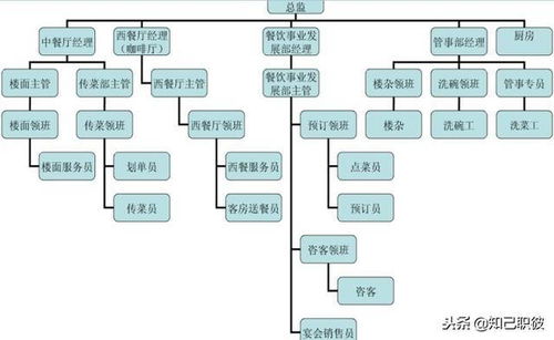 酒店管理职业规划 一 二 行业发展现状 酒店组织结构